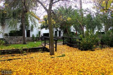 Complejo turístico Los Pinos casas y jardines 27