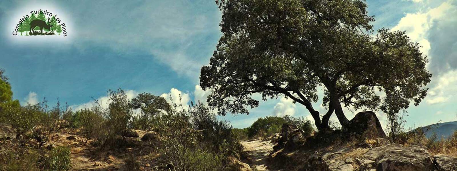 Complejo turístico Los Pinos banner 7