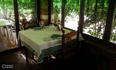 Complejo turístico Los Pinos restaurante y terraza 6