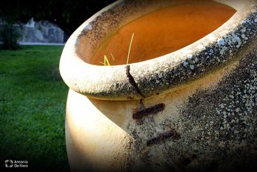 Complejo turístico Los Pinos casas y jardines 20