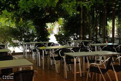 Complejo turístico Los Pinos restaurante y terraza 7