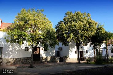 Complejo turístico Los Pinos casas y jardines 2