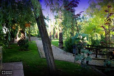 Complejo turístico Los Pinos casas y jardines 13
