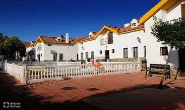 Complejo turístico Los Pinos casas y jardines 11