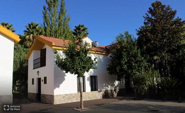 Complejo turístico Los Pinos casas y jardines 9