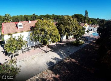Complejo turístico Los Pinos casas y jardines 1