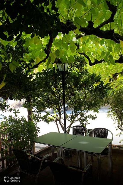 Complejo turístico Los Pinos restaurante y terraza 1