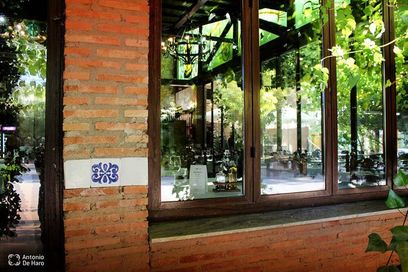 Complejo turístico Los Pinos restaurante y terraza 9