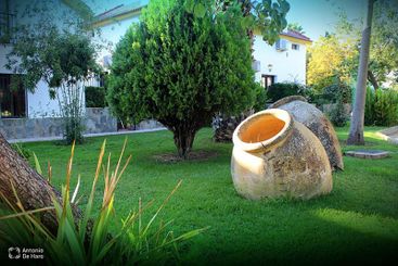 Complejo turístico Los Pinos casas y jardines 19