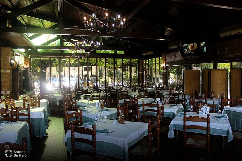 Complejo turístico Los Pinos restaurante y terraza 4