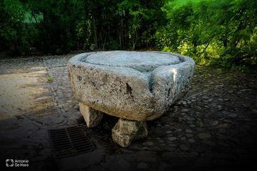 Complejo turístico Los Pinos casas y jardines 12
