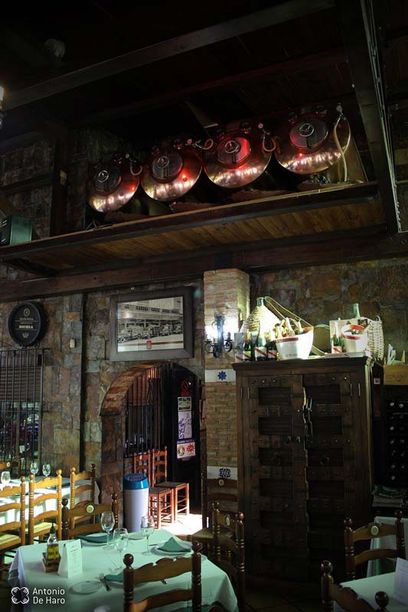 Complejo turístico Los Pinos restaurante y terraza 10