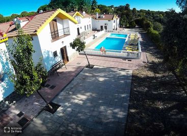Complejo turístico Los Pinos casas y jardines 3