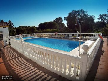 Complejo turístico Los Pinos casas y jardines 5