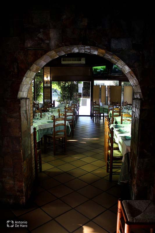 Complejo turístico Los Pinos restaurante y terraza 15