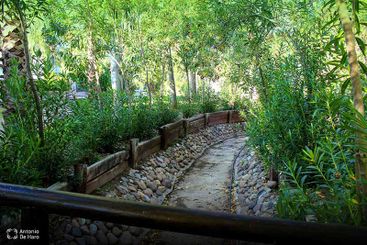 Complejo turístico Los Pinos casas y jardines 15
