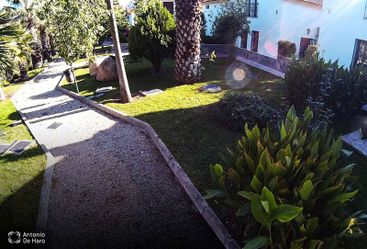 Complejo turístico Los Pinos casas y jardines 21