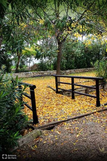 Complejo turístico Los Pinos casas y jardines 25